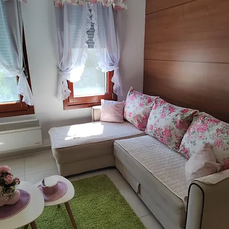 Vesna Vrnjačka Banja