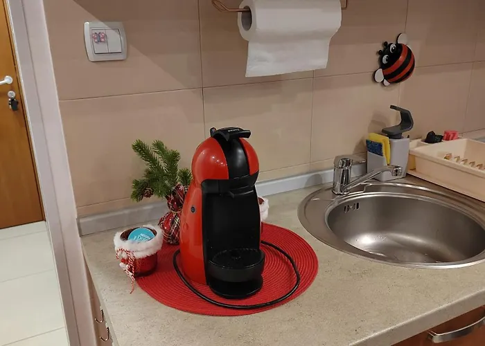 Vesna Apartment Vrnjačka Banja