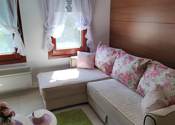 Vesna Vrnjačka Banja